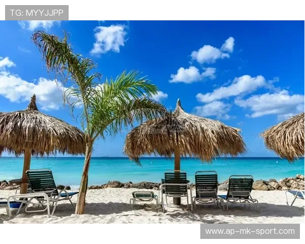 阿鲁巴自行车赛吸引众多骑行爱好者，阿鲁巴205