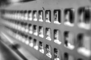 mk体育网址-青少年运动损伤预防技术及实践研究，青少年运动损伤预防技术及实践研究论文