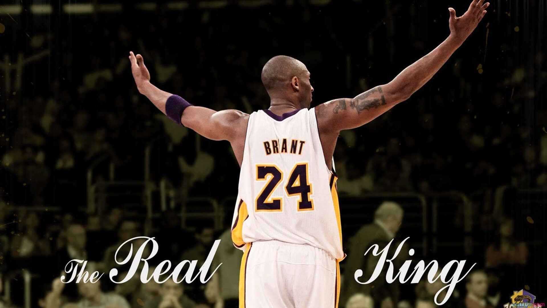 科斯决赛展现顶尖耐力与速度，科斯科技